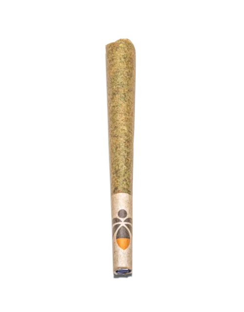 HASH PRE ROLLS UK